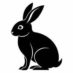 rabbit vector illustration