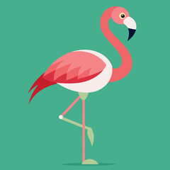 flamingo vector illustration