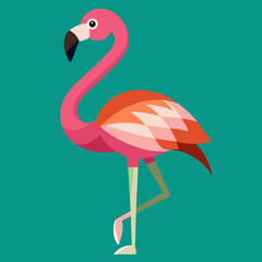 illustration of a flamingo