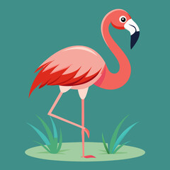 Fototapeta premium pink flamingo bird