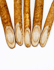 Burdock Root (Gobo) on white background.