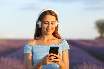 Woman listening audio from phone and headphone in lavender field