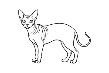 Line art vector illustration of a Sphynx cat.eps