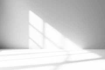 shadow overlay effects of realistic window shadow with light blur on transparent background,Summer sunlight and shadow overlay effect