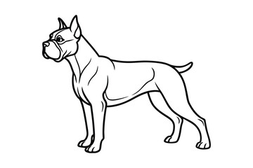 Line art vector illustration of a Boxer dog standing with a muscular build and cropped ears.eps