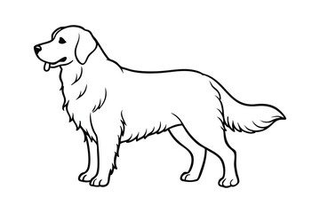 Line art vector illustration of a Golden Retriever with a soft wavy coat and standing happily.eps