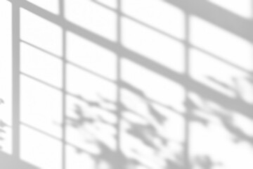 shadow overlay effects of realistic window and tree branch shadow with light blur on transparent background,Summer sunlight and shadow overlay effect