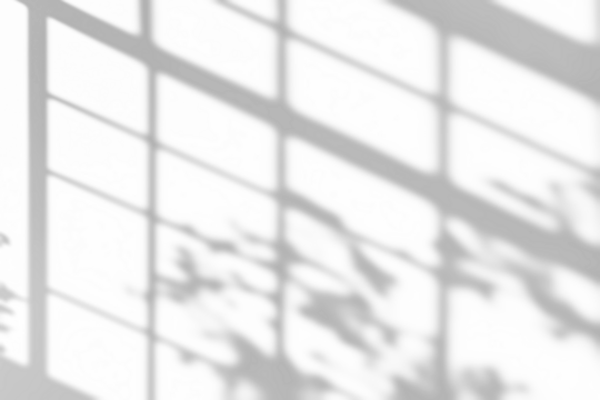 shadow overlay effects of realistic window and tree branch shadow with light blur on transparent background,Summer sunlight and shadow overlay effect