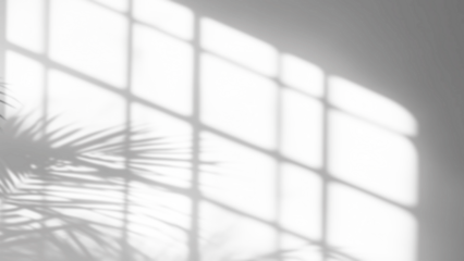 shadow overlay effects of realistic window and tree branch shadow with light blur on transparent background,Summer sunlight and shadow overlay effect