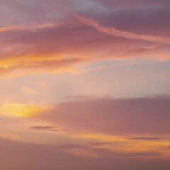 Fototapeta premium sunset in the sky