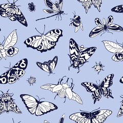 Repeatable pattern of various drawing insects. Endless background of sketches of different beetles, bugs, butterflies, moths, dragonfly, bumblebee. Fauna of garden. Flat seamless vector illustration