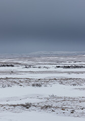 A serene, wide shot of a snowy landscape under a clouded, gray sky, depicting a cold winter.