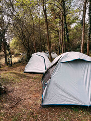 Modern camping tents in the forest on a sunny day. Adventures Camping tourism and tent under view pine forest landscape near clear water and sunset sky in morning at Turkey