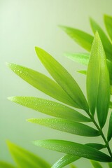 Fototapeta premium Delicate green leaves glistening with dew, showcasing nature's v