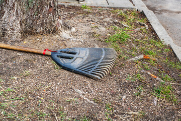 A garden rake is laying on the ground next to a large tree