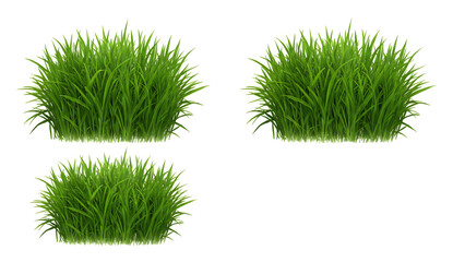 緑豊か若草群生素材