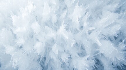 Fototapeta premium Frosty Ice Crystals Forming Intricate Patterns on Cold Surface