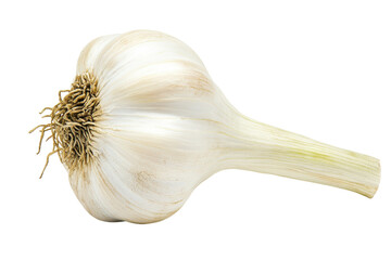 A close-up view of fresh garlic bulb resting on a white surface, highlighting its texture and shape