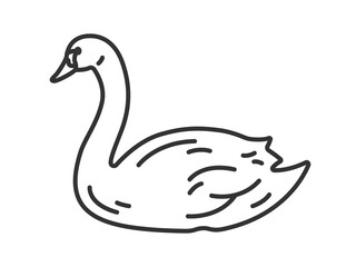 白鳥（線画）のイラスト