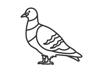 鳩（線画）のイラスト