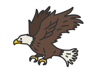 鷲（線画カラー）のイラスト