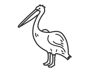 ペリカン（線画）のイラスト