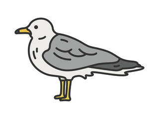 Obraz premium カモメ（線画カラー）のイラスト