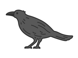 カラス（線画カラー）のイラスト