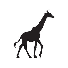 Obraz premium Northern giraffe silhouette isolated on white background. Giraffe bird icon vector illustration design