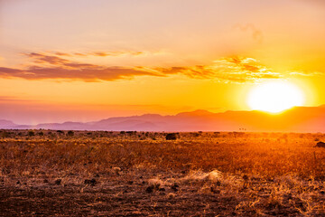 sunset over the field Meru National Park Kenya East Africa Meru National Park is a Kenyan national park located east of Meru, 350 km from Nairobi. Covering an area of 870 km², it is one best known na