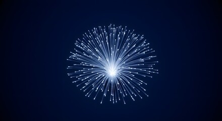 Fototapeta premium fireworks in the sky
