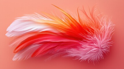 Vibrant feather arrangement