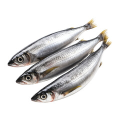 Obraz premium Top view of sardine fishes isolated on transparent background.