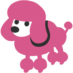 Poodle
