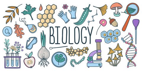 Set of doodle objects biology lesson. Hand drawn laboratory vector illustration. Learning, education concept. Microbes, test tubes, human anatomy, flora and fauna elements.