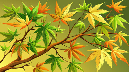 Fresh new leaves on a Japanese acer tree