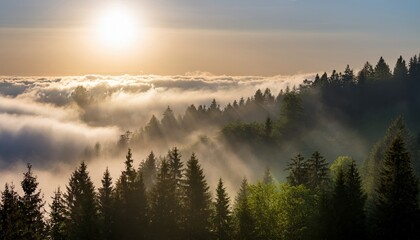 Morning Rays and Fog Above a Forest in the Mountains, breathtaking Scenery