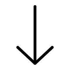 Arrow Thin Down Icon