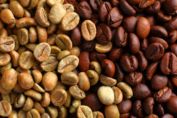 High-Detail Close-Up of Green and Roasted Coffee Beans