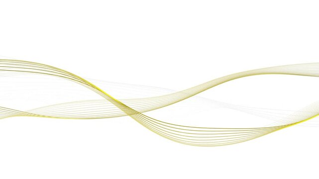 abstract wave lines animation footage white background luxury video