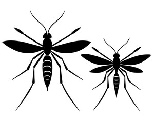 Mosquitoes silhouette vector illustration