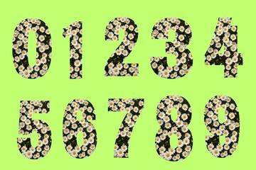 numbers made of grass, Spring flowers NUMBERS from  0 to 9. Spring flowers NUMBERS from  0 to 9 illustration vector. Spring Numbers 