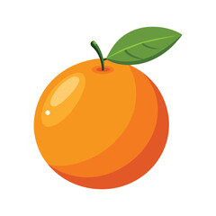 orange fruit vector illustration