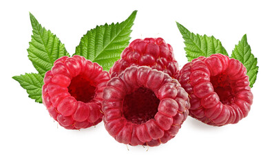 ripe raspberries with green leaves isolated on white background. clipping path