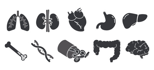 Isolated bundle pictogram representing body parts, including lungs, heart, liver, intestine, kidneys, blood, brain, DNA, and bones