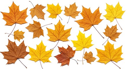 Fototapeta premium Autumn's Golden Descent AI Generated