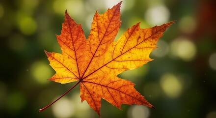 Fototapeta premium Autumn Ember's Embrace AI Generated