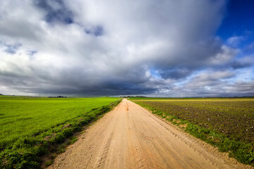 Camino entre los sembrados