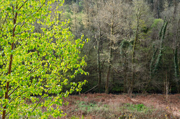 Trail of the mills of the Middle River