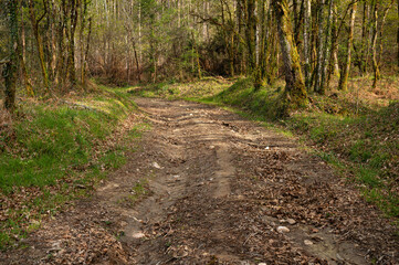 Trail of the mills of the Middle River